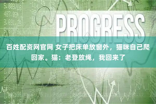 百姓配资网官网 女子把床单放窗外，猫咪自己爬回家。猫：老登放绳，我回来了