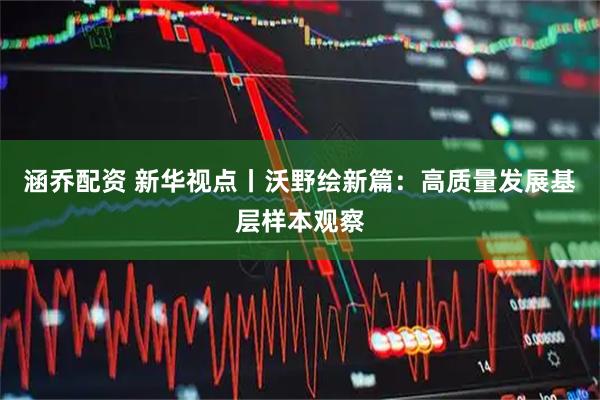 涵乔配资 新华视点丨沃野绘新篇：高质量发展基层样本观察