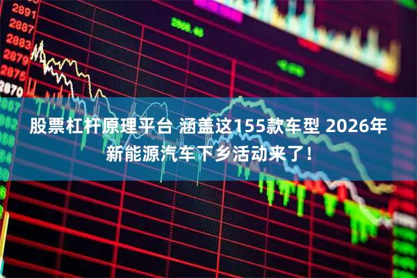 股票杠杆原理平台 涵盖这155款车型 2026年新能源汽车下乡活动来了！